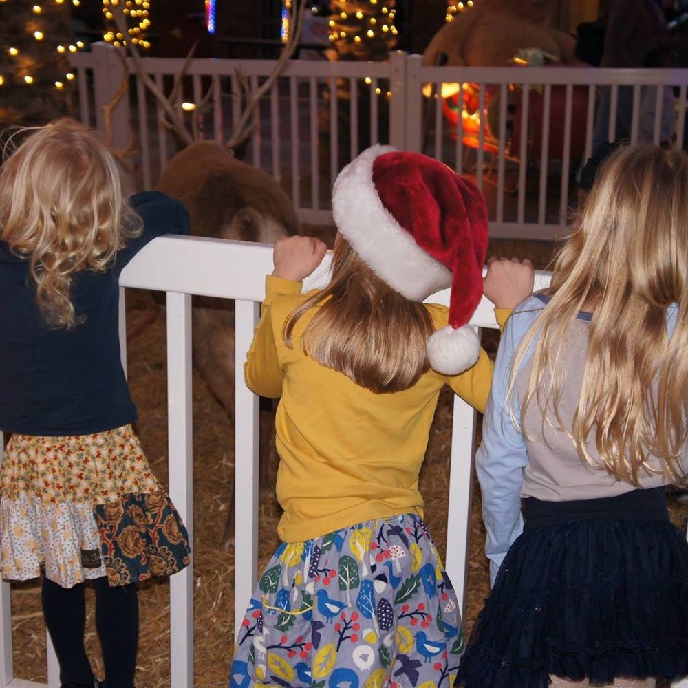 Meet your Posher, Amy